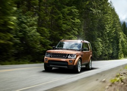 Land Rover, Discovery, Droga, Las