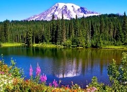 Stany Zjednoczone, Stan Waszyngton, Park Narodowy Mount Rainier, Stratowulkan Mount Rainier, Góry, Jezioro
