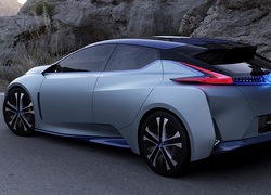 Nissan, IDS, Droga, Skaly