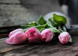 Tulipany, Kwiaty