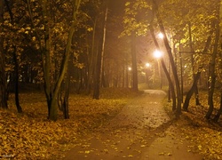 Noc, Park, Drzewa, Latarnie, Alejka