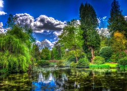 Park, Staw, Chmury, HDR