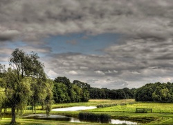 Park, Deszczowe, Chmury, Drzewa