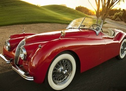 1954, Jaguar, XK,120, Roadster