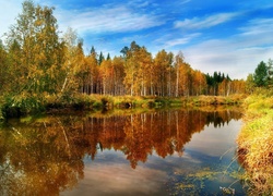 Jesień, Drzewa, Rzeka, Trawy
