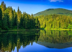 Las, Iglasty, Jezioro, Góry