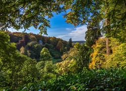 Ogród, Park, Stourhead, Anglia