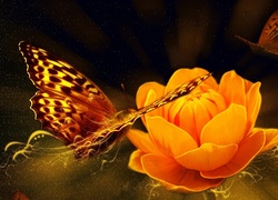 Grafika, Motyl, Kwiat