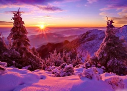 Zima, Góry, Drzewa, Świerki, Ośnieżone, Wschód Słońca, Śnieg