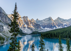 Kanada, Park Narodowy Banff, Góry, Jezioro Moraine Lake, Las