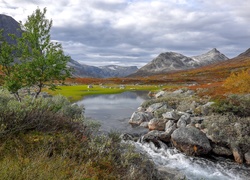 Norwegia, Rezerwat przyrody Vermedalen, Wzgórza, Kamienie, Rzeczka, Drzewo, Góry