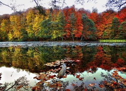 Jezioro, Odbicie