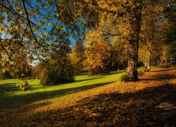 Jesień, Park