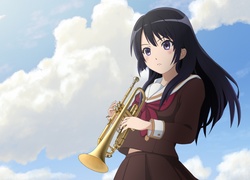 Hibike! Euphonium, Kousaka Reina