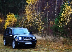 Jeep Patriot