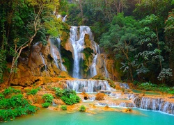 Las, Jeziorko, Wodospad, Kuang Si, Laos