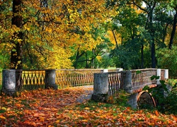 Most, Rzeka, Liście, Park, Jesień