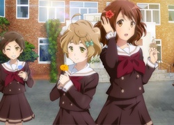 Hibike! Euphonium, Katou Hazuki, Kawashima Sapphire, Kousaka Reina, Oumae Kumiko