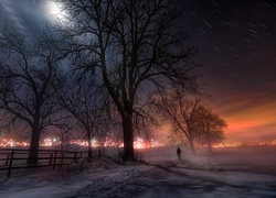 Zima, Noc, Mgła, Drzewa, Fajerwerki