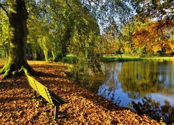 Jesień, Park, Staw, Ławka