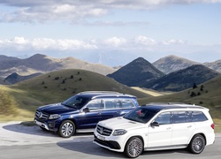 Mercedes Benz, GLS, Góry