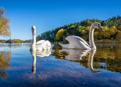 Łabędzie, Rzeka, Krajobraz