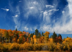 Park, Narodowy, Wyoming, Stany, Zjednoczone, Jesień, Las, Niebo