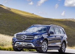 Mercedes, Benz, GLS