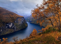 Góry, Fiord Geirangerfjorden, Jesień, Drzewa, Norwegia