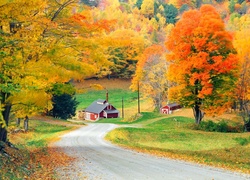 Droga, Domy, Kolorowe, Drzewa, Las, Wioska, Jesień