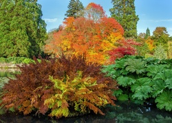 Park United Kingdom Parks Pond Trees Shrubs Sheffield Park