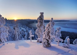 Zima, Góry, Lasy, Zachód Słońca, Kuusamo, Finlandia