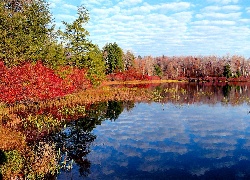 Jesień, Drzewa, Jezioro, Odbicie