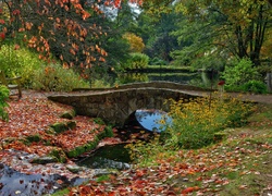 Staw, Mostek, Kwiaty, Liście, Park, Jesień, Anglia