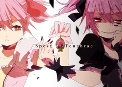 Mahou Shoujo Madoka Magica, Kriemhild Gretchen, Kaname Madoka