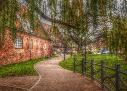 Gdańsk, Polska, Alejka, Budynek, Drzewo, HDR