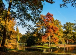 Park, Jesień, Staw