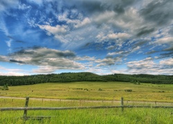 Pole, Ogrodzenie, Dróżka, Pochmurne, Niebo, Las