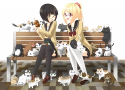 Dziewczyny, Koty, Ławka, Anime