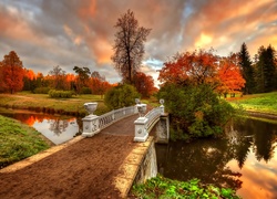 Jesień, Park, Mostek, Petersburg