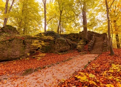 Park, Drzewa,Droga,Skały, Schody