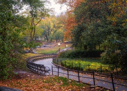 Park, Alejka, Kwiaty, Drzewa, Liście, Jesień