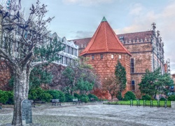 Gdańsk, Budynki, Drzewo, Tabliczka, HDR