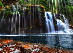 Wodospad, Lower Lewis River Falls, Rzeka, Skała, Drzewa, Jesień, Stan Waszyngton, Stany Zjednoczone