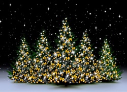 Boże Narodzenie, Choinki, Noc, Śnieg, Gwiazdki