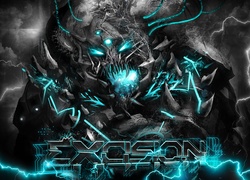 Excision