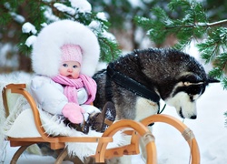 Dziecko, Sanki, Zima, Śnieg, Las, Siberian Husky