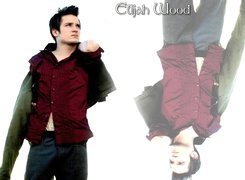 Elijah Wood,czerwona koszula