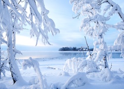Zima, Rzeka, Ośnieżone, Drzewa, Śnieg