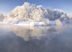 Zima, Jezioro, Mgła, Ośnieżone, Drzewa, Krzewy